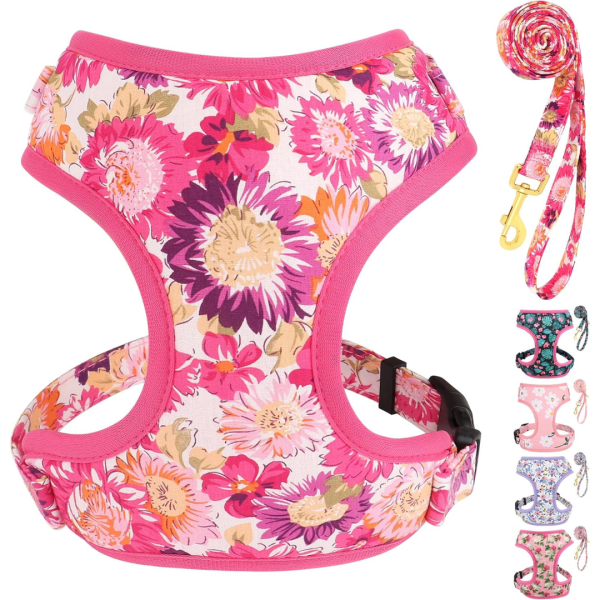 Cute Floral Pattern Girl Dog Harness and Leash Set Online